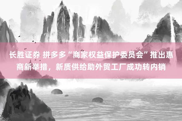长胜证券 拼多多“商家权益保护委员会”推出惠商新举措，新质供给助外贸工厂成功转内销