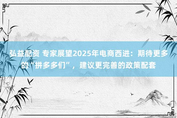 弘益配资 专家展望2025年电商西进：期待更多的“拼多多们”，建议更完善的政策配套