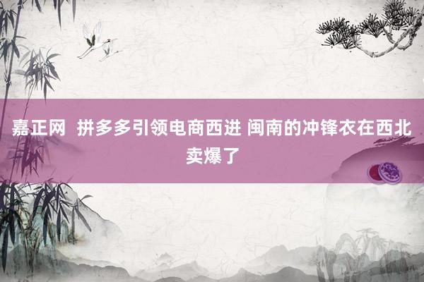 嘉正网  拼多多引领电商西进 闽南的冲锋衣在西北卖爆了